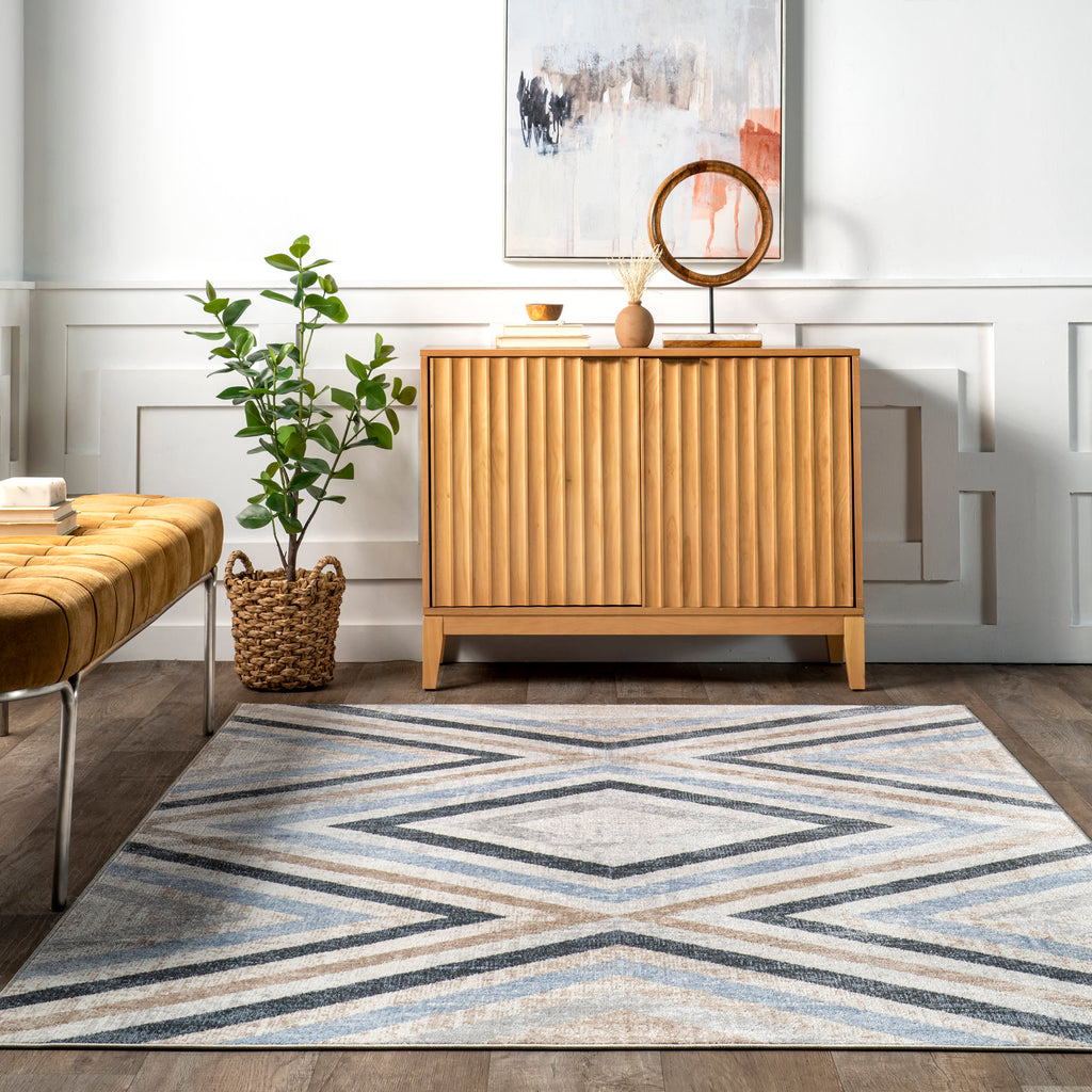 Reeba Washable Distressed Rug | Blue